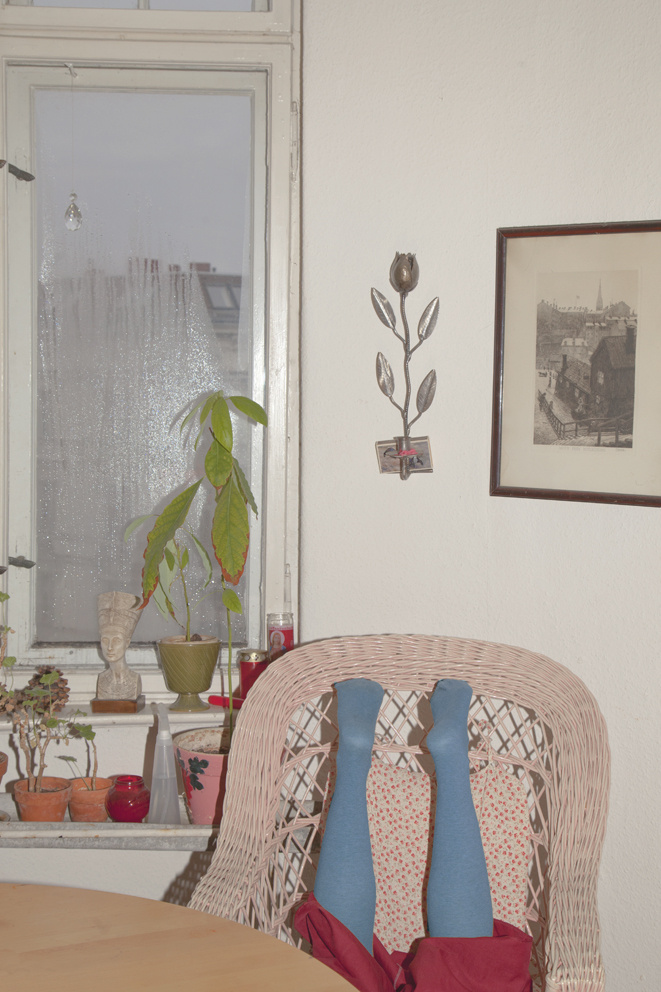 About — Desert Flower Filmproduktion