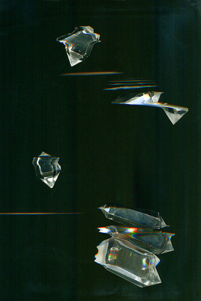 Records are Written in Stone — Department of Natural History