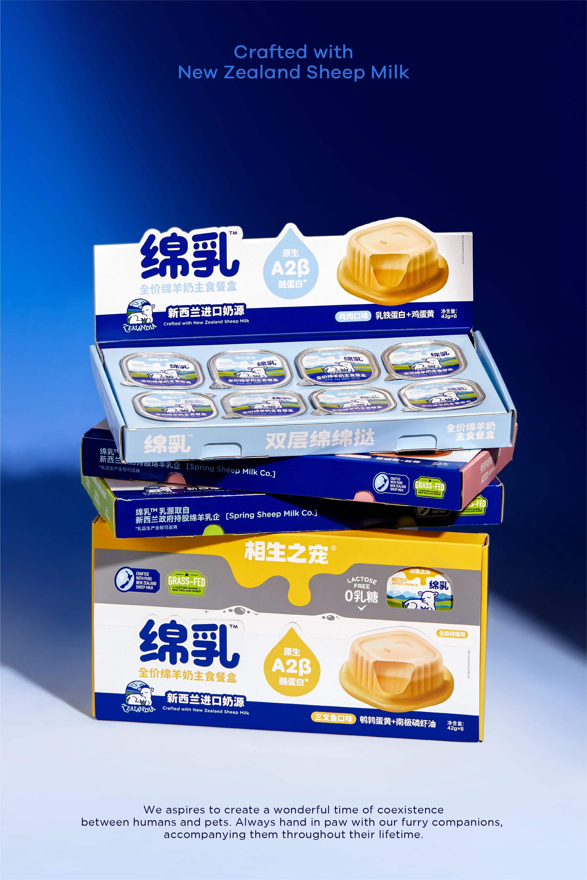 相生之宠®绵乳系列— DXD Studio