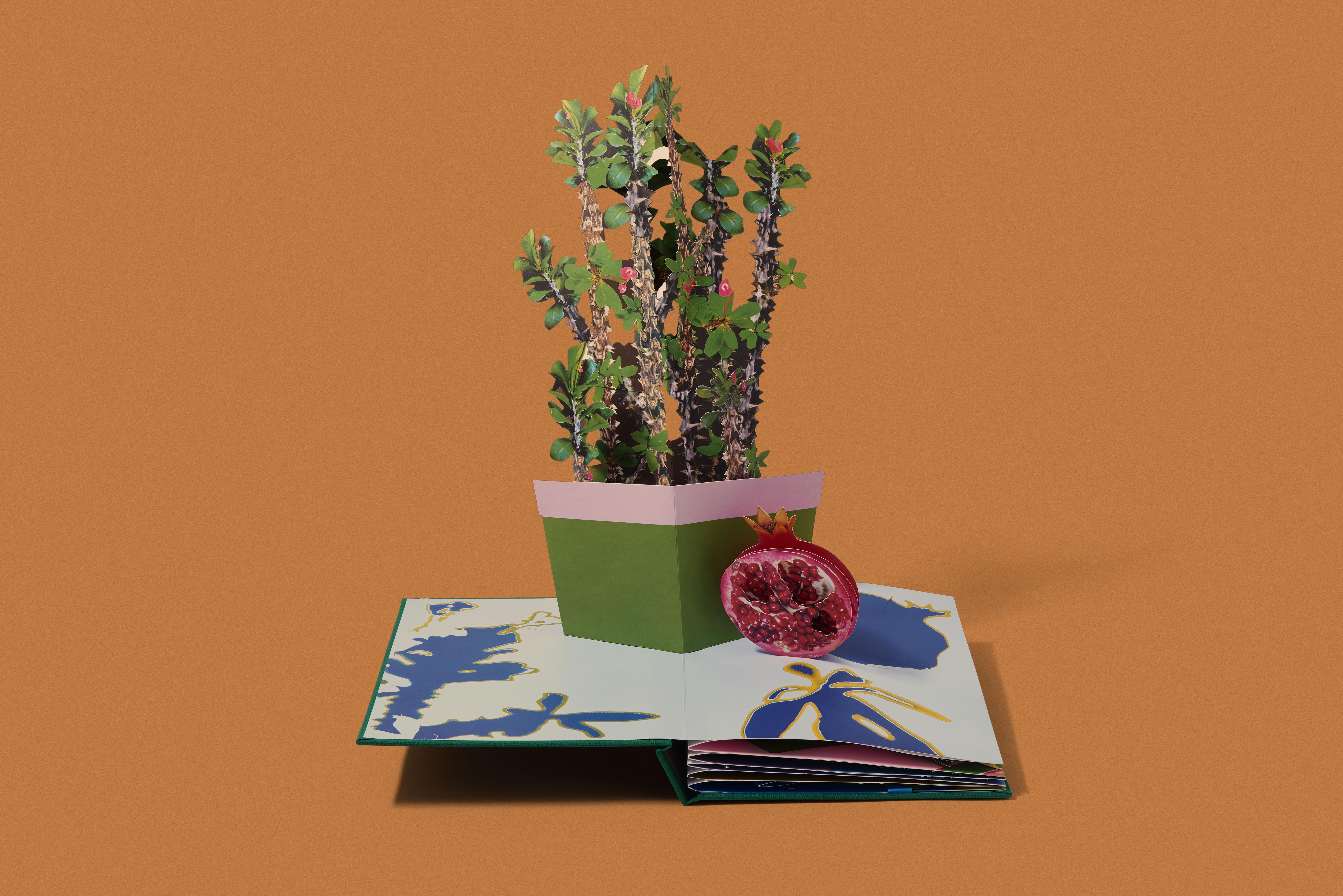 Daniel Gordon: Houseplants - brianberding