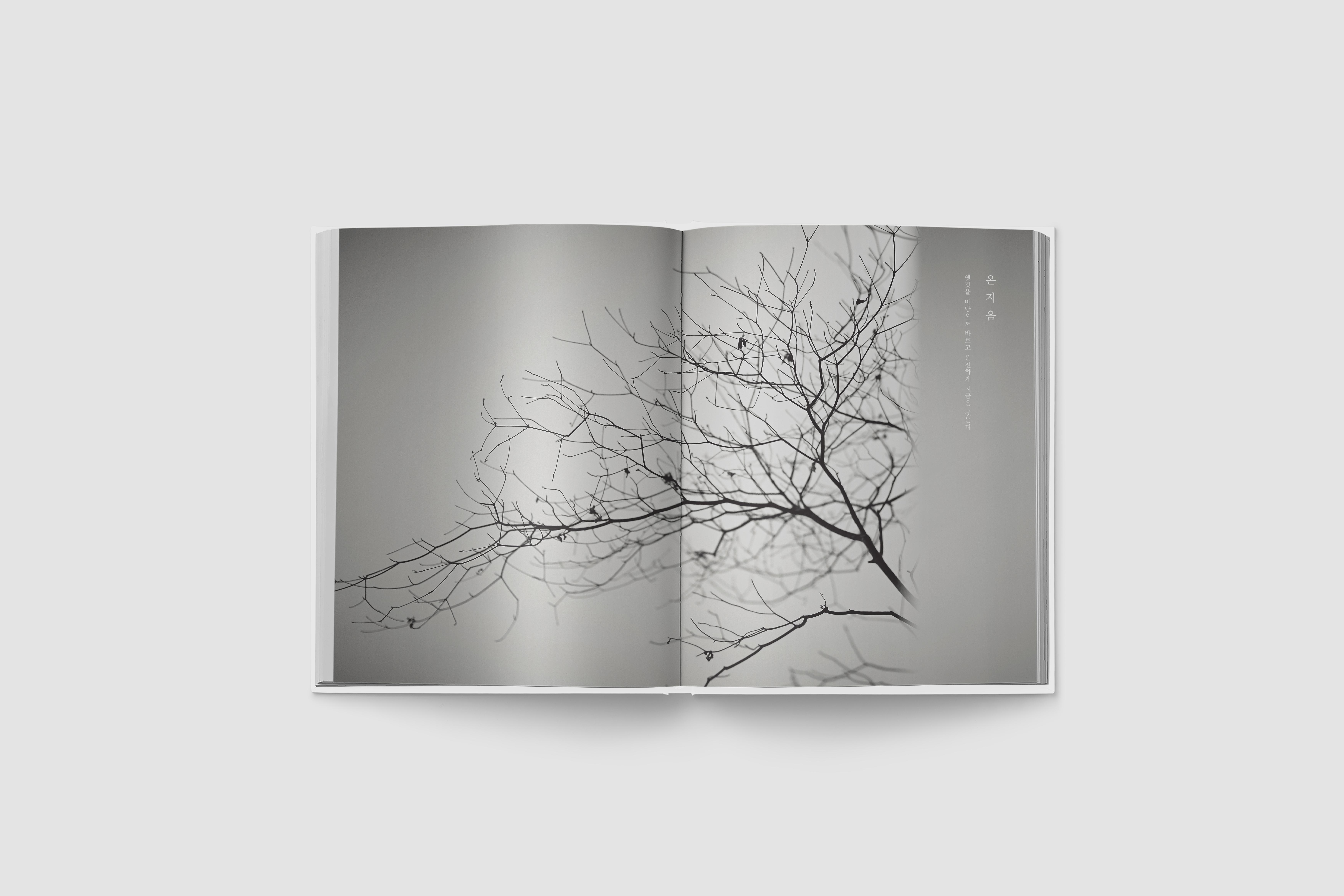 ONJIUM Cookbook - studiokio.com