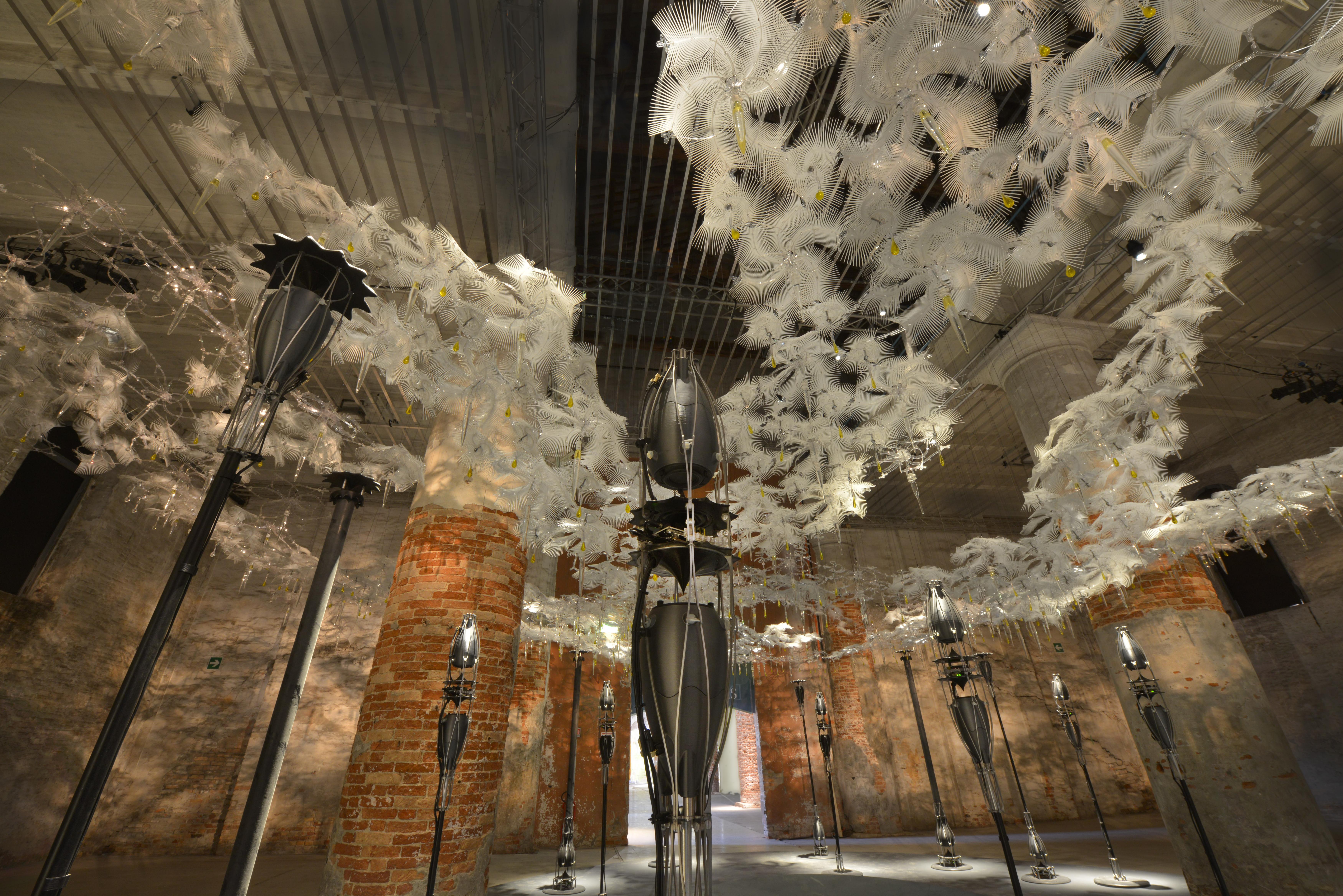 アート・デザイン・音楽 la biennale venezia- dream and conflicts 06biennale3-facebookJumbo.jpg?