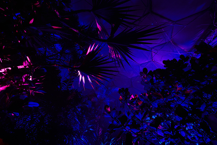 Echoes – The Eden Project