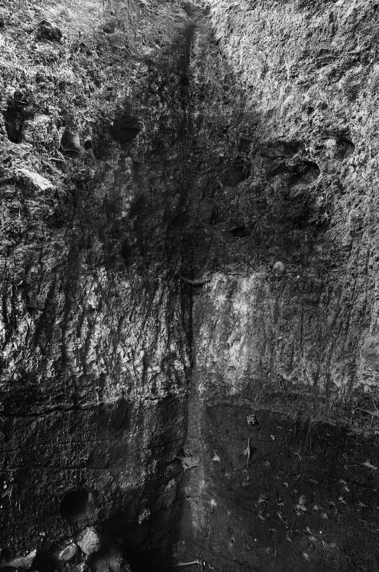 Villa of Augustus, detail, Somma Vesuviana, Naples, January 2016.