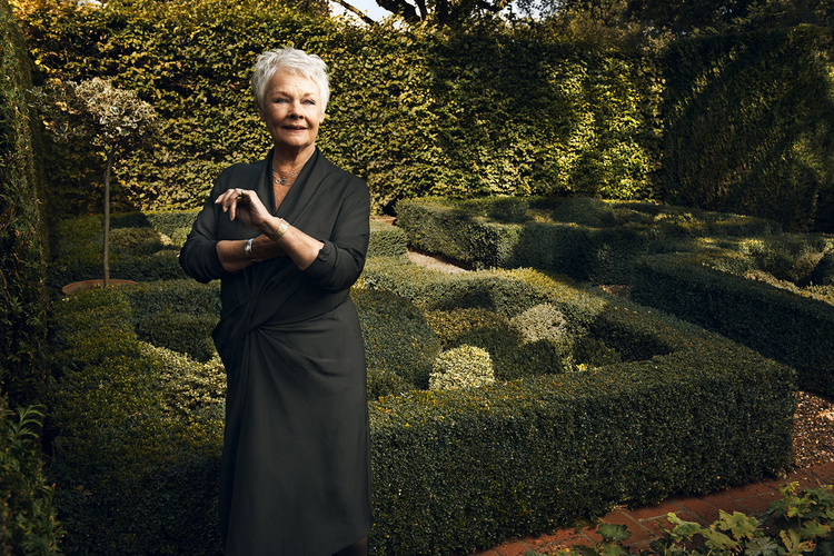 Dame Judi Dench