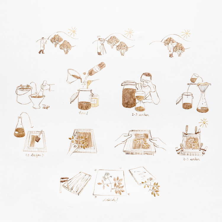 Jenny Stieglitz, Illustratie van het anthotype-proces met organische inkten. (Manufactuur 3.0., Z33)