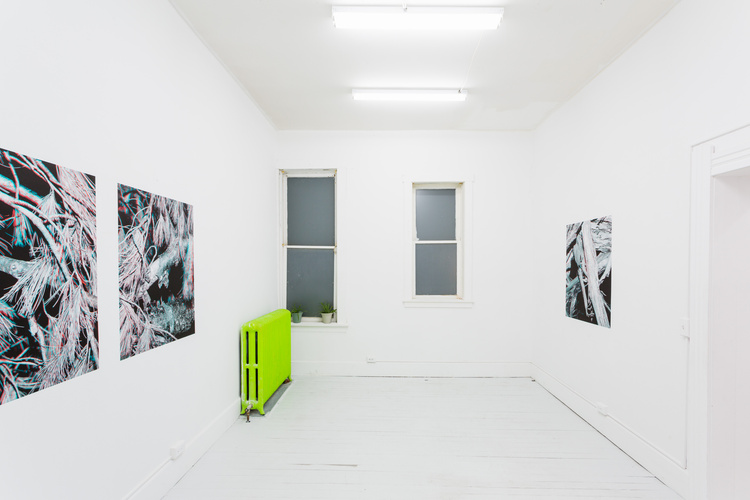 Installation view of The Field, The Neon Heater, Findlay, OH, 2016