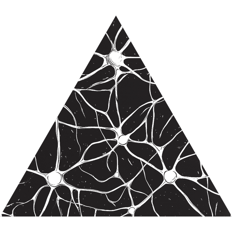 Theta Noir Networks