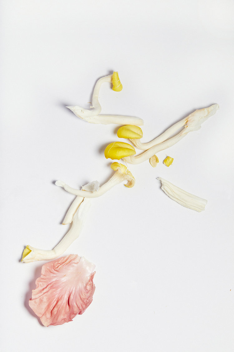 KMA stylist Sara Wacksman designs set for a photo of scattered multicolored flower petals on white background for Kjaer Weis