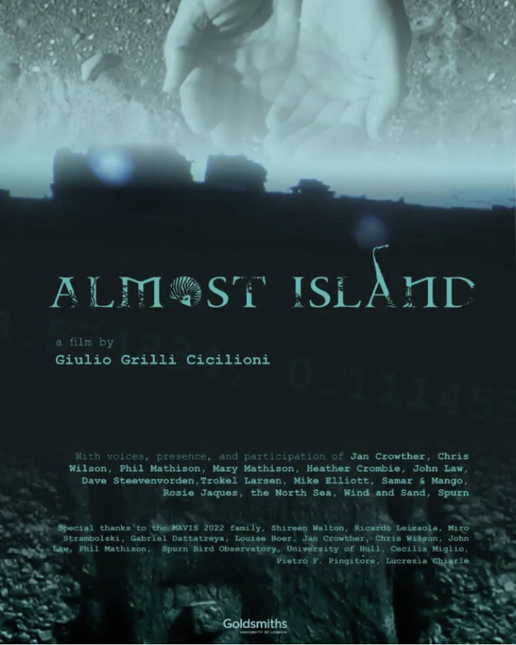 film performances — mirrored fatality