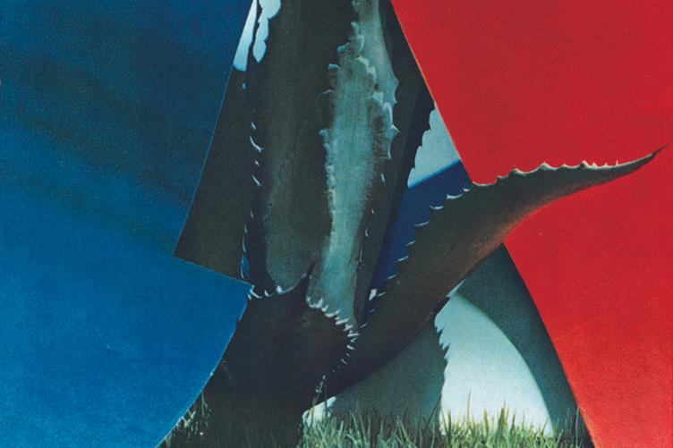 芸術写真 THE FACE MAGAZINE | ELECTRO 芸術写真 THE FACE