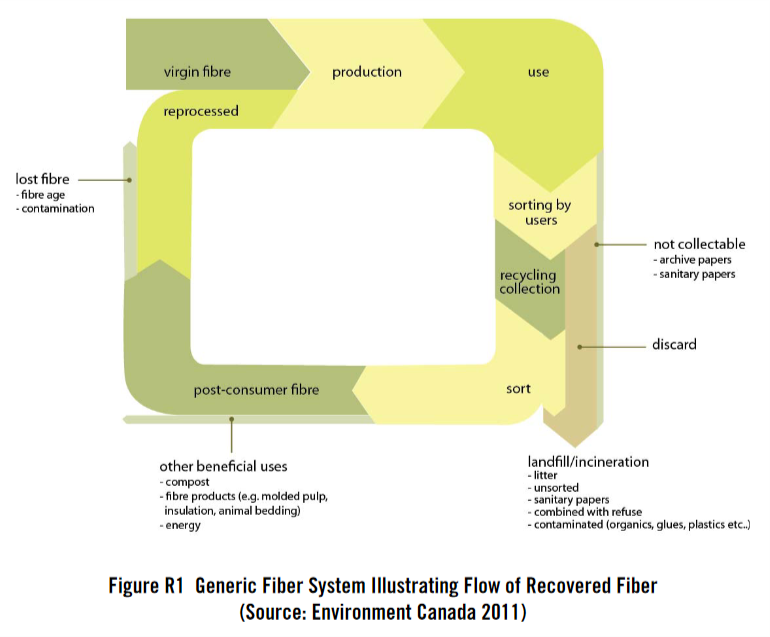 Diagram of the cycle of paper. Trees are introduced into the cycle of paper production and are turned into various products. Some paper joins the cycle again while a portion of it is lost to waste or because of the degradation of the cellulose fibers.