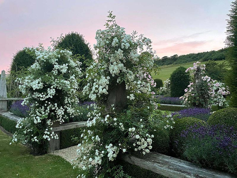 Sydling — I & J Bannerman