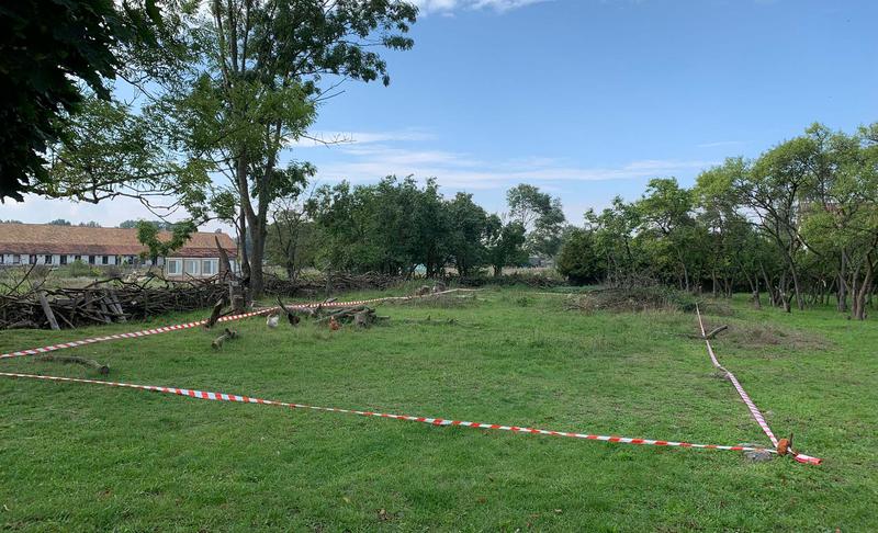 Grundstück 'Jungviehstall'