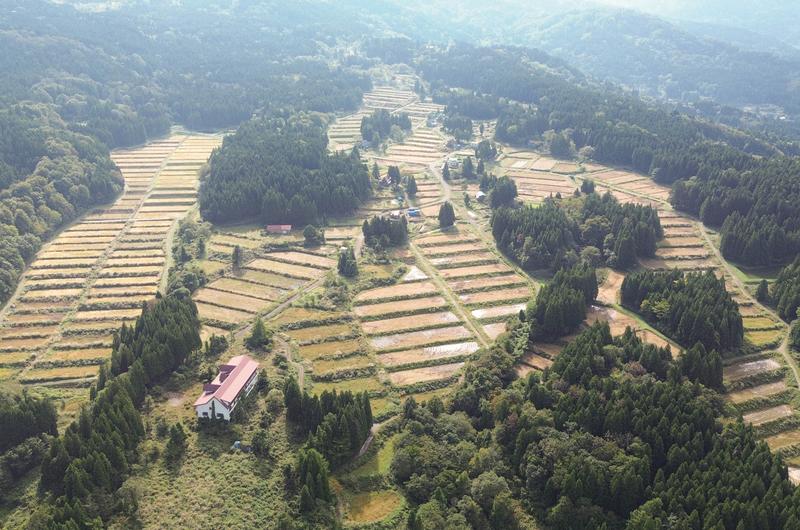 中国雲南省の伝統的な風景 置物 3点セット 石林風景区昆明からバスで石林へあた 中国雲南省 世界遺産の