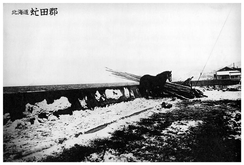 Daido Moriyama — Dashwood Projects