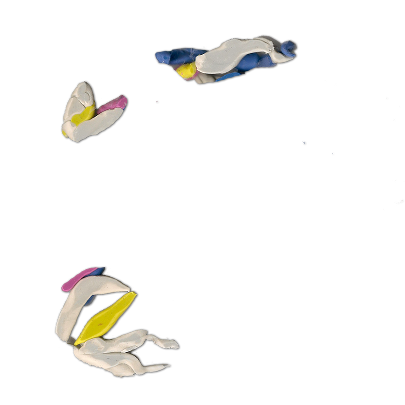 Bending Image