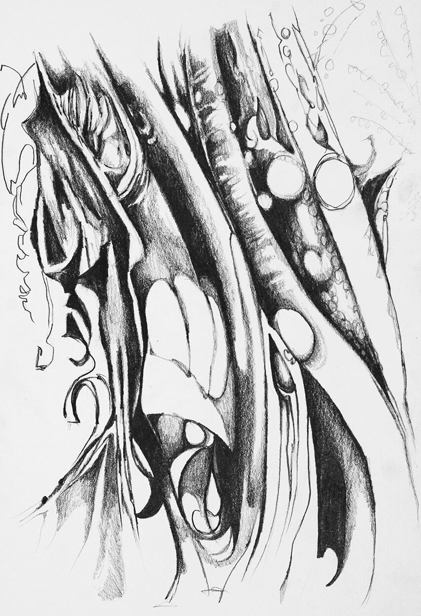 kelp drawing