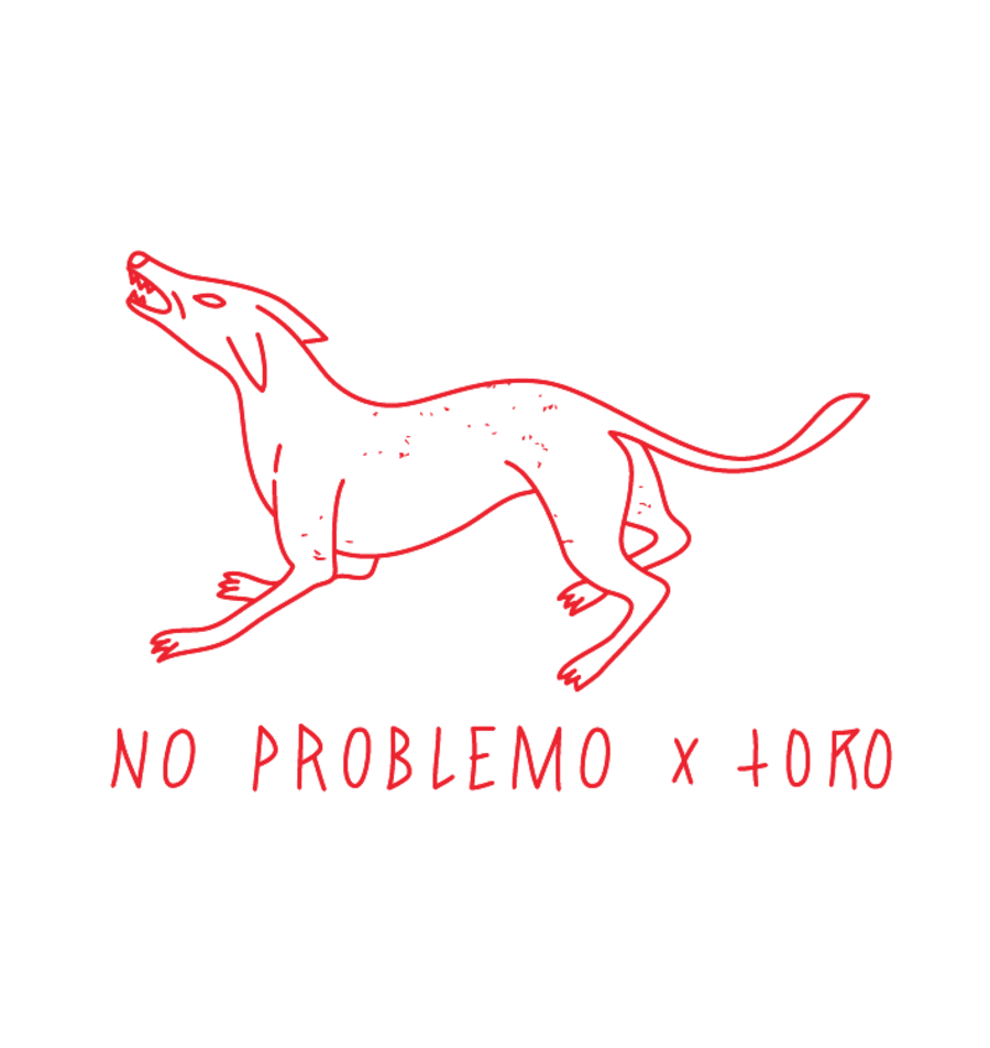 no-problemo-estudio-toro