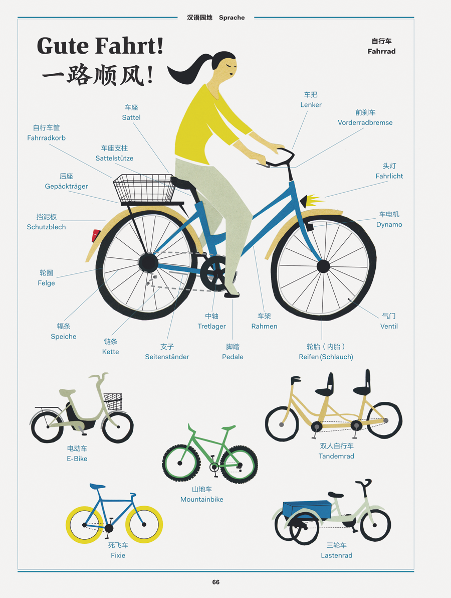 Illustration/Infografik Fahrräder für die Broschüre des Konfuziusinstitutes